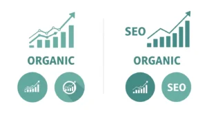 SEO organic growth strategies
